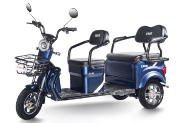 H5 (Leisure Electric Tricycle)