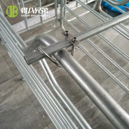 Pig Stall and Cage Solutions for Pig Farms
