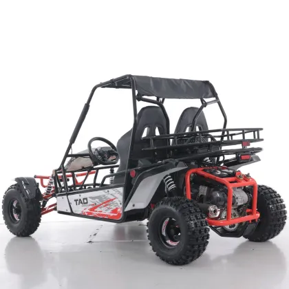 Tao Motor 200cc Electric Start Off Road Gas Go Kart