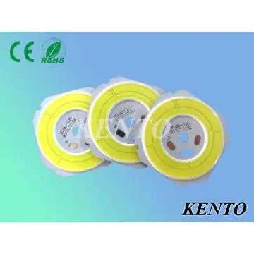 home light source 5W purewhite COB