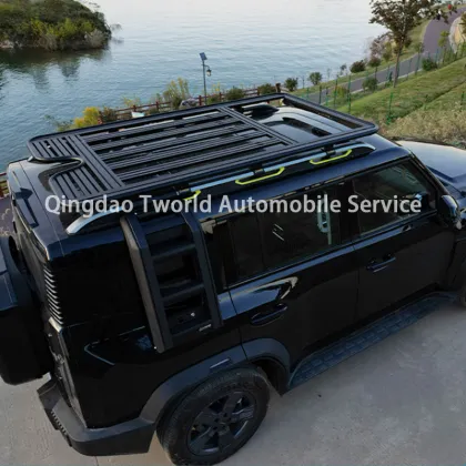 Jetour Traveler Roof Rack Basics