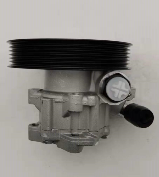 Power Steering Pump for Biliance FRV 1.8 T 3005900 7079955126