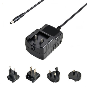 6v 1a Plug Interchangeable Ac Dc Adapter