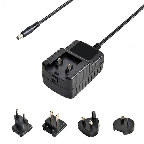 6V 1A -Stecker austauschbarer AC DC -Adapter