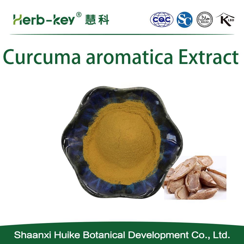 10: 1 Curcuma aromatica extrato em pó