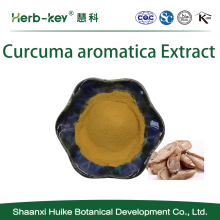 10: 1 Curcuma Aromatica Extraktpulver