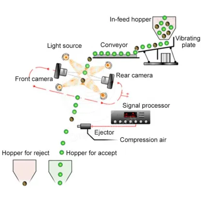 ORME Intelligent Cereal Raisin Color Sorter Separator Machine