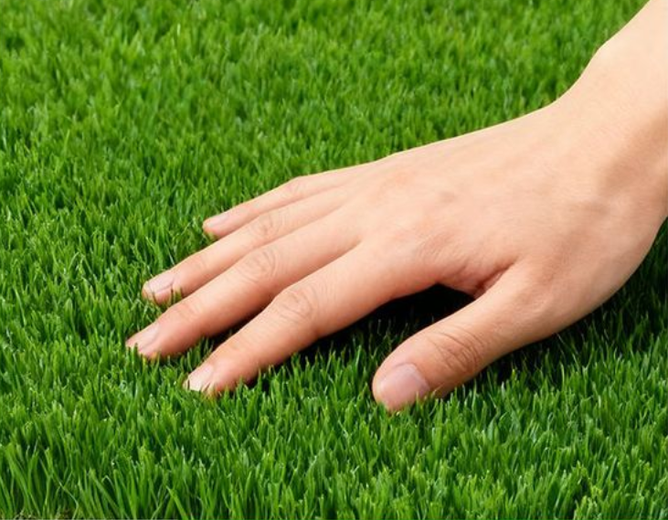 garden residential grass