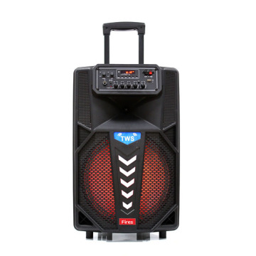 Professional Stage Speakers with 12 Inch Woofer - 100W Music DJ Box