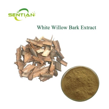 White Willow Bark Extract 98% Salicin