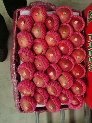 Fresh Non Bagged Qin Guan