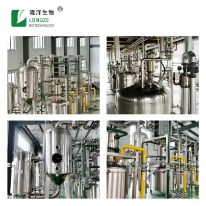 Mushroom Extract 100% Natural Mushroom Extract Powder