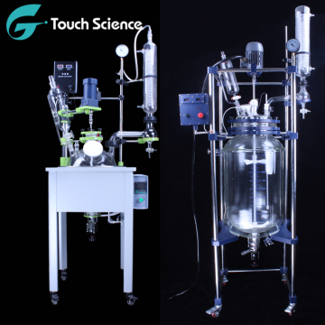 10L e 20L Borossilicate Glass Biorreattor com sistema de vedação mecânica
