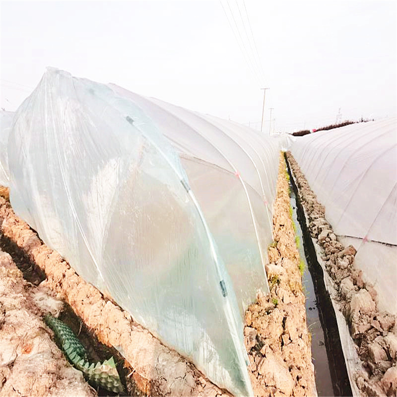 100% Biodegradable greenhouse plastic film (2)