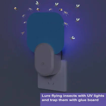 UV Flying Insect Electric Mosquito Killing Lamp - New Arrival Plug-in Lamp with Glue Paper