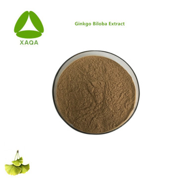 Natural Ingredients Dietary Supplement Ginkgo Biloba Extract