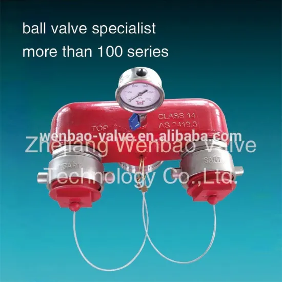 Stainless Steel Water manifold Valve Booster valve bottom entry with SART Assembly