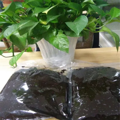 The essence of garlic black garlic sauce