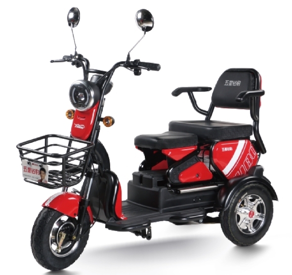 S2 (Leisure Electric Tricycle)