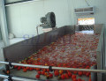 Mesin cuci gelembung untuk mesin pembersih buah sayuran