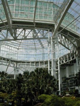 glass canopy