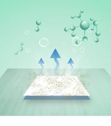 Wet and Dry Replacement 500ml Floor Cleaning Solution for TINECO Vacuum Cleaners