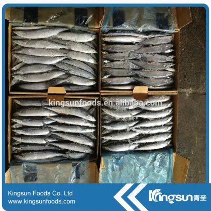 Frozen Pacific Saury (Cololabis Saira)