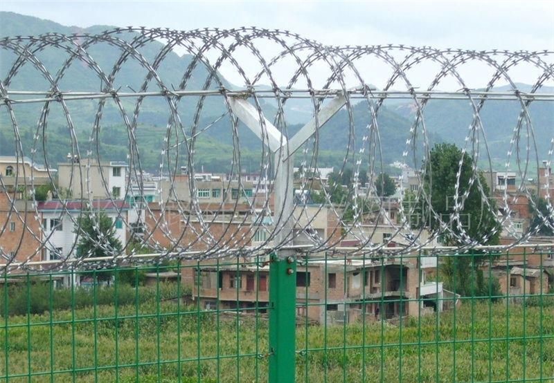 buy razor wire