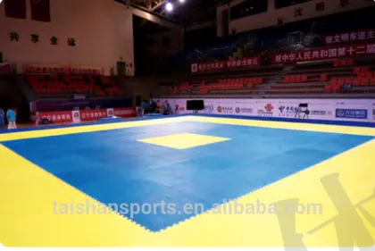 Good Quality EVA Martial Arts Mats/ Taekwondo Mats/Puzzle Mats