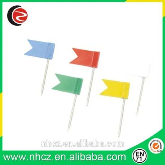 Colorful Flag Pin