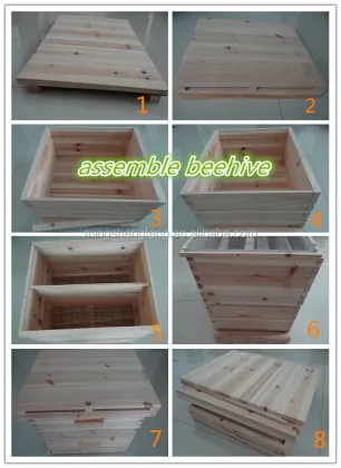 8 frames cedar wooden beehive