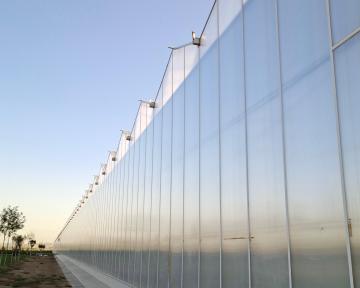 Aluminum Gutter Polycarbonate Greenhouse