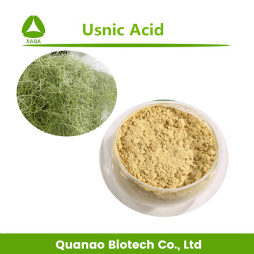 Lichen Usnea Extract Usnic Acid 98% HPLC Powder