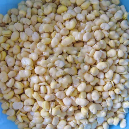 Automatic Wet Peeling Machine for Peanuts and Almonds