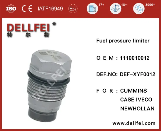 1110010012 Pressure Limiting Valve for CASE,IVECO,NEWHOLLAN,CUMMINS
