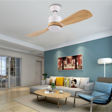 LEDER Ventilatori da soffitto unici con luci