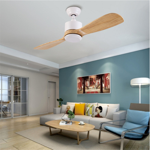 Ventilateurs de plafond uniques LEDER avec lumières