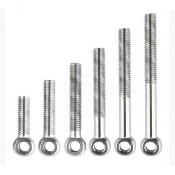 304 Stainless Steel Fully Threaded Eye Bolt