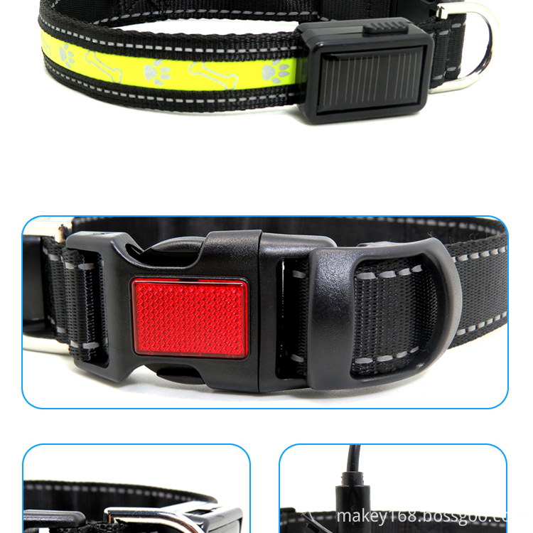 Best Flashing Dog Collar