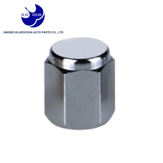 various accessories tubeless brass tire valve cap