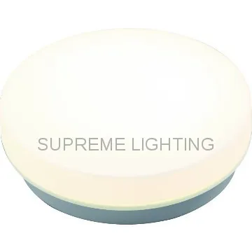 IP44 bathroom light /Ceiling Lamps