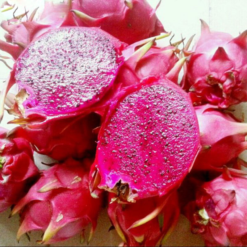 Red Pitaya Powder