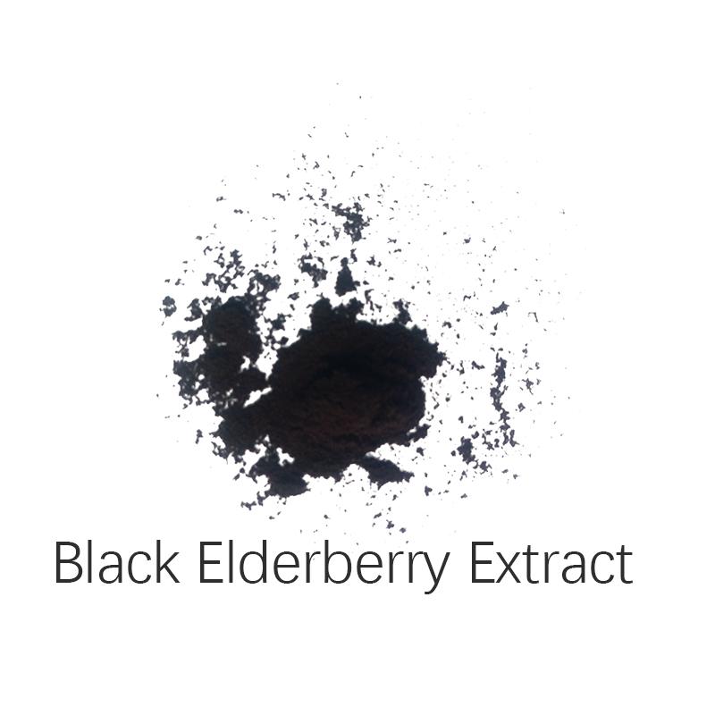 Black Elderberry Extract Anthocyanins 10