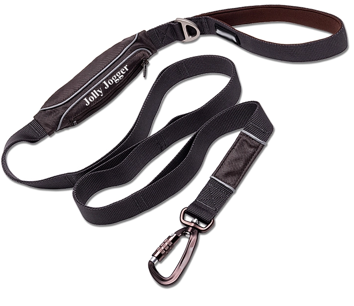 Reflective Puppy Training Leash