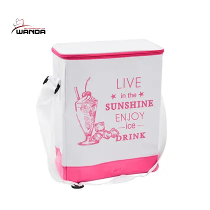 Ice packs the picnic bag