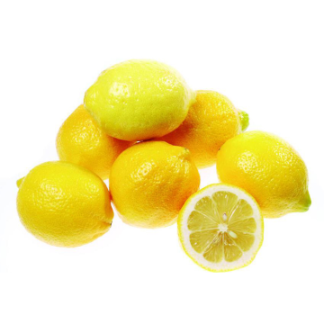 Lemon dryer dry good color, high quality, fast drying, more energy saving