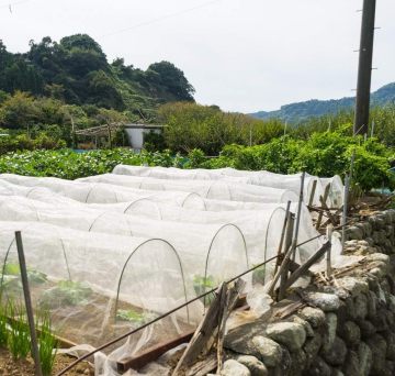 Netting Bug Fine: Halangan Perosak Berkesan untuk Taman, Perlindungan Baris, Beds &amp; Protection Nyamuk yang dibangkitkan