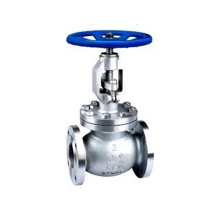 Stainless Steel Globe Valve with Manual Operation