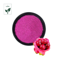 Vegetable Powder of Red Dragon Fruit Powder