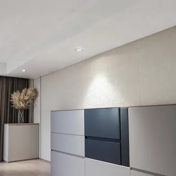 Customize Ceiling Spot Led Recessed Adjustable COB Downlight